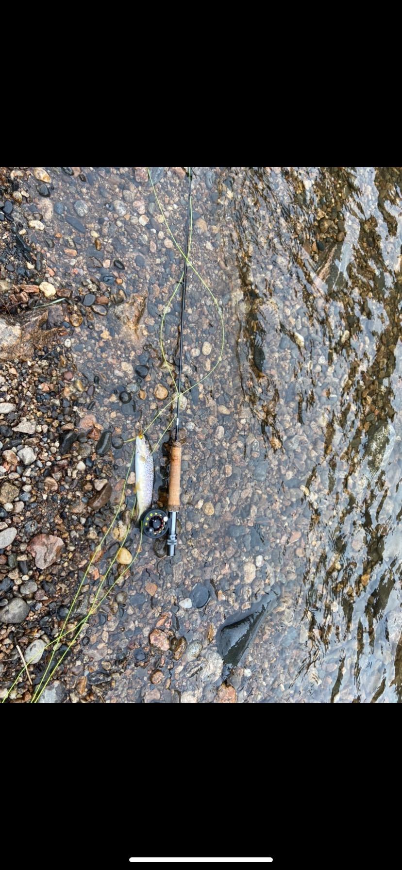 Wild Water Standard Fly Fishing Combo Starter Kit, 5 Foot 6 Inch Graphite Rod, 3-Weight, 4-Piece Fly Rod Kit, Includes Die Cast Aluminum Reel, Fly Box, Flies and Hard Tube Case with Pouch customer photo 1
