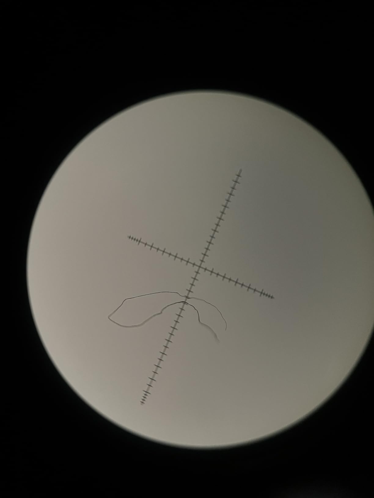 Bushnell 781545ED Legend T-Series Flp Spotting Scope with Mil-Hash Reticle customer photo 2