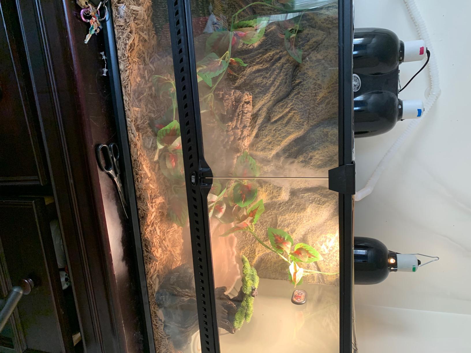 Evergreen Pet Supplies Reptile Fogger & Humidifier - Adjustable Fog Output for Mini Terrarium Fogger - 2 L Tank with Auto Shut-Off for Tortoise Humidifier - 2 L, Black/Clear customer photo 1