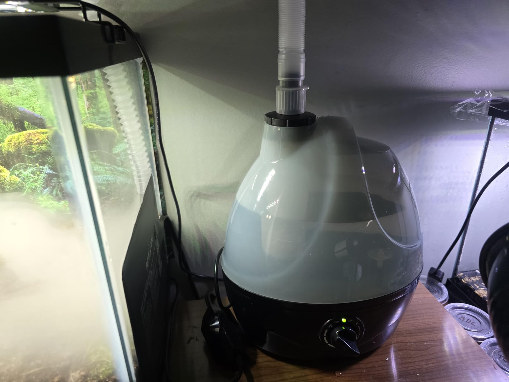 Evergreen Pet Supplies Reptile Fogger & Humidifier - Adjustable Fog Output for Mini Terrarium Fogger - 2 L Tank with Auto Shut-Off for Tortoise Humidifier - 2 L, Black/Clear customer photo 2