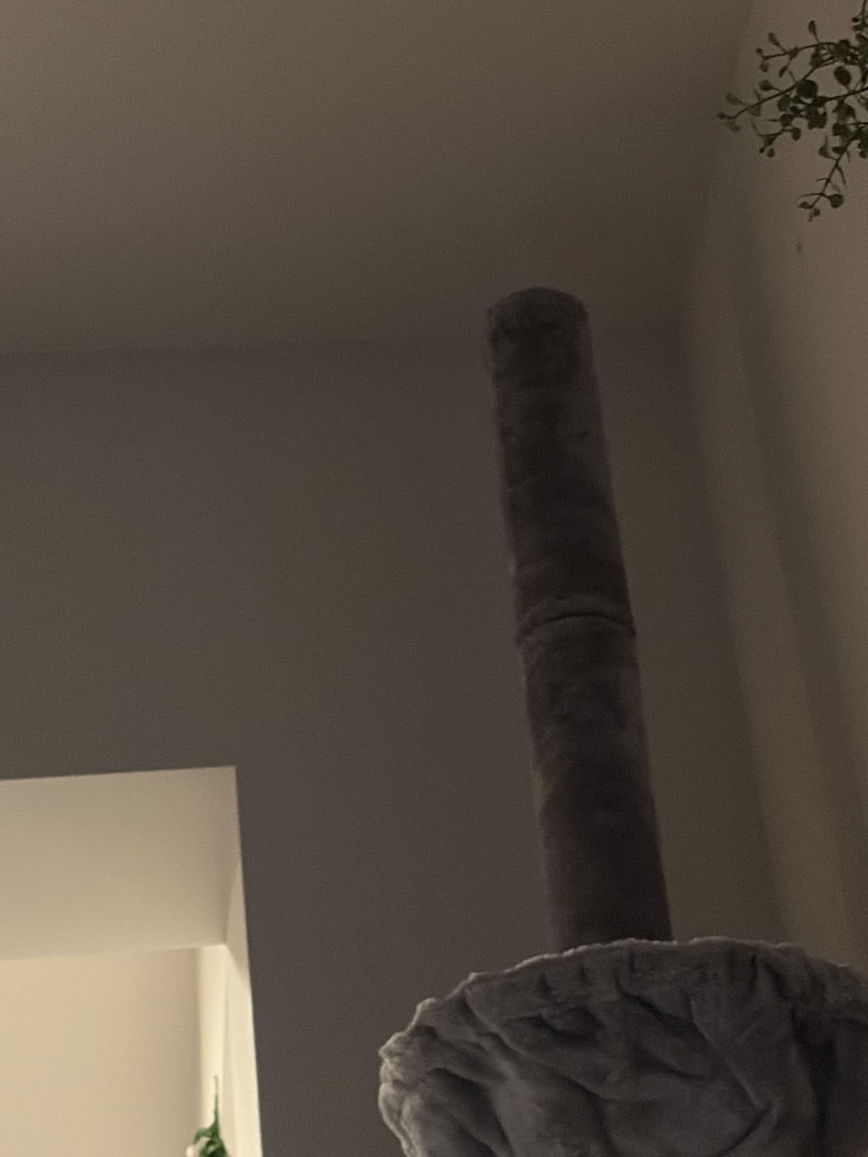 Roypet Adjustable 93
