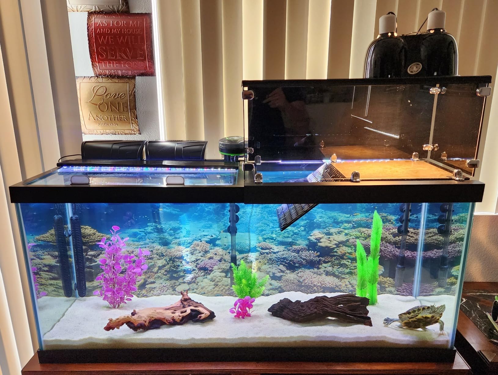 Aqueon QuietFlow Canister Aquarium Filter, Up to 55 Gallons (ECOM) customer photo 1