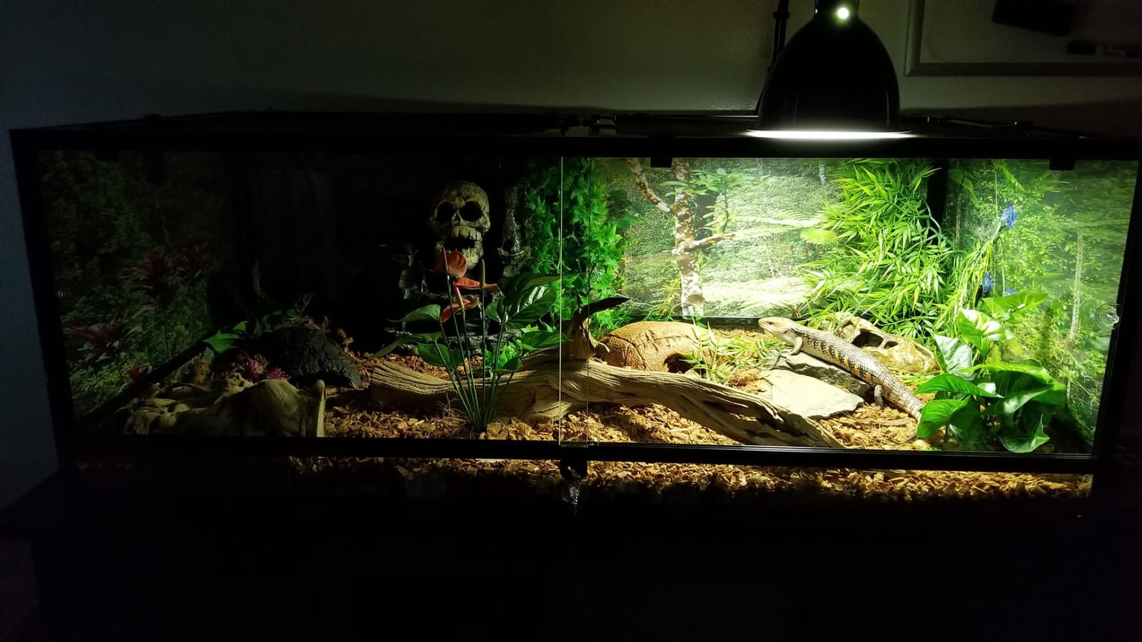Carolina Custom Cages, 48Lx24Wx18H Extra-Long Deep Terrarium; Easy Assembly customer photo 2