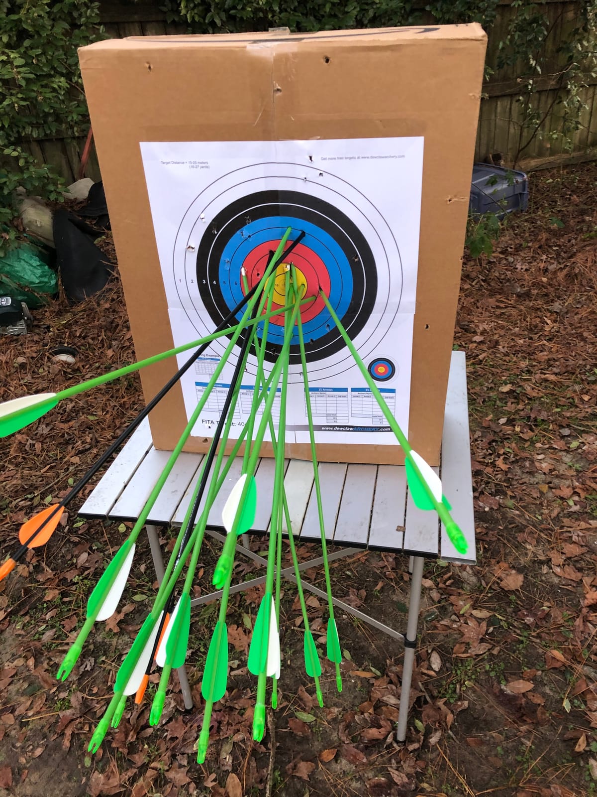 Bear Archery Apprentice Bow Set. customer photo 1