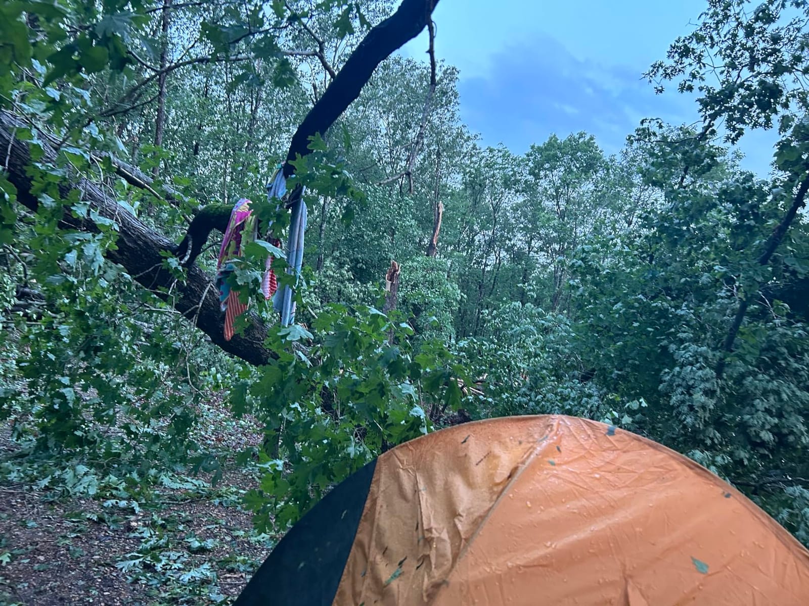 Kelty Grand Mesa 2P or 4P Backpacking Tent – 3 Season Camping, Thru Hiking Shelter, Aluminum Pole Frame, Single Door + Vestibule Model customer photo 2