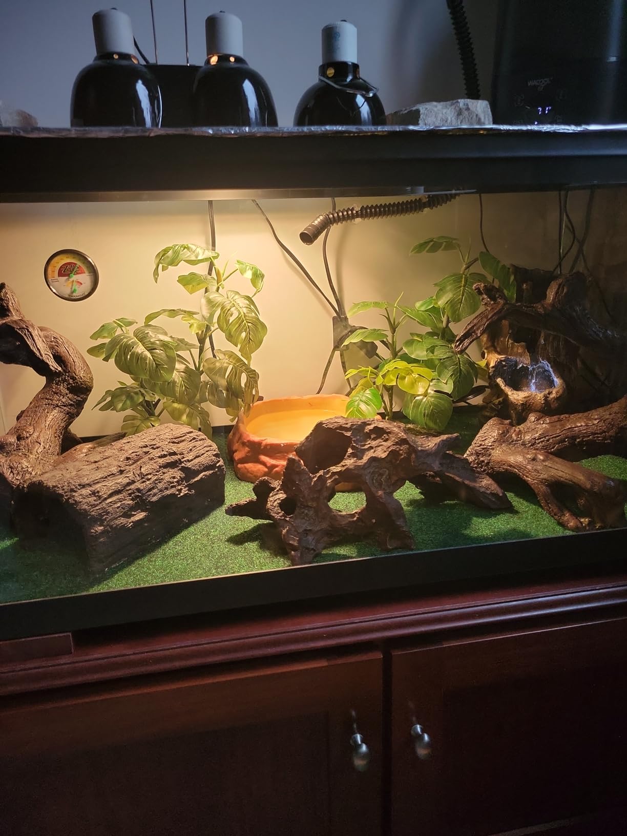 WACOOL Reptile Fogger with Humidity Controller, 4L Large Tank Reptile Humidifier with Humidistat & Extended Hose, Automatic Terrarium Fogger for Beared Dragon Lizard Gecko Snake Tortoise customer photo 1