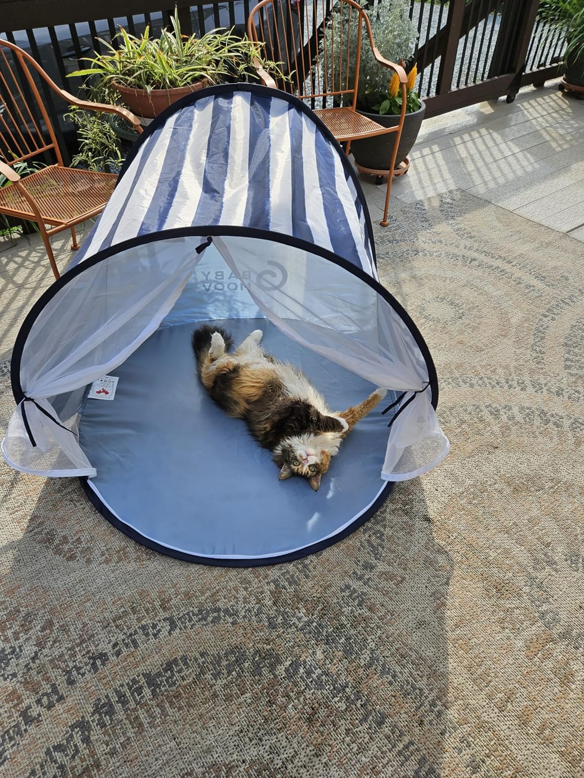 Babymoov Anti-UV Baby & Toddler Beach Tent, UPF 50+ Sun Protection, Marine customer photo 1