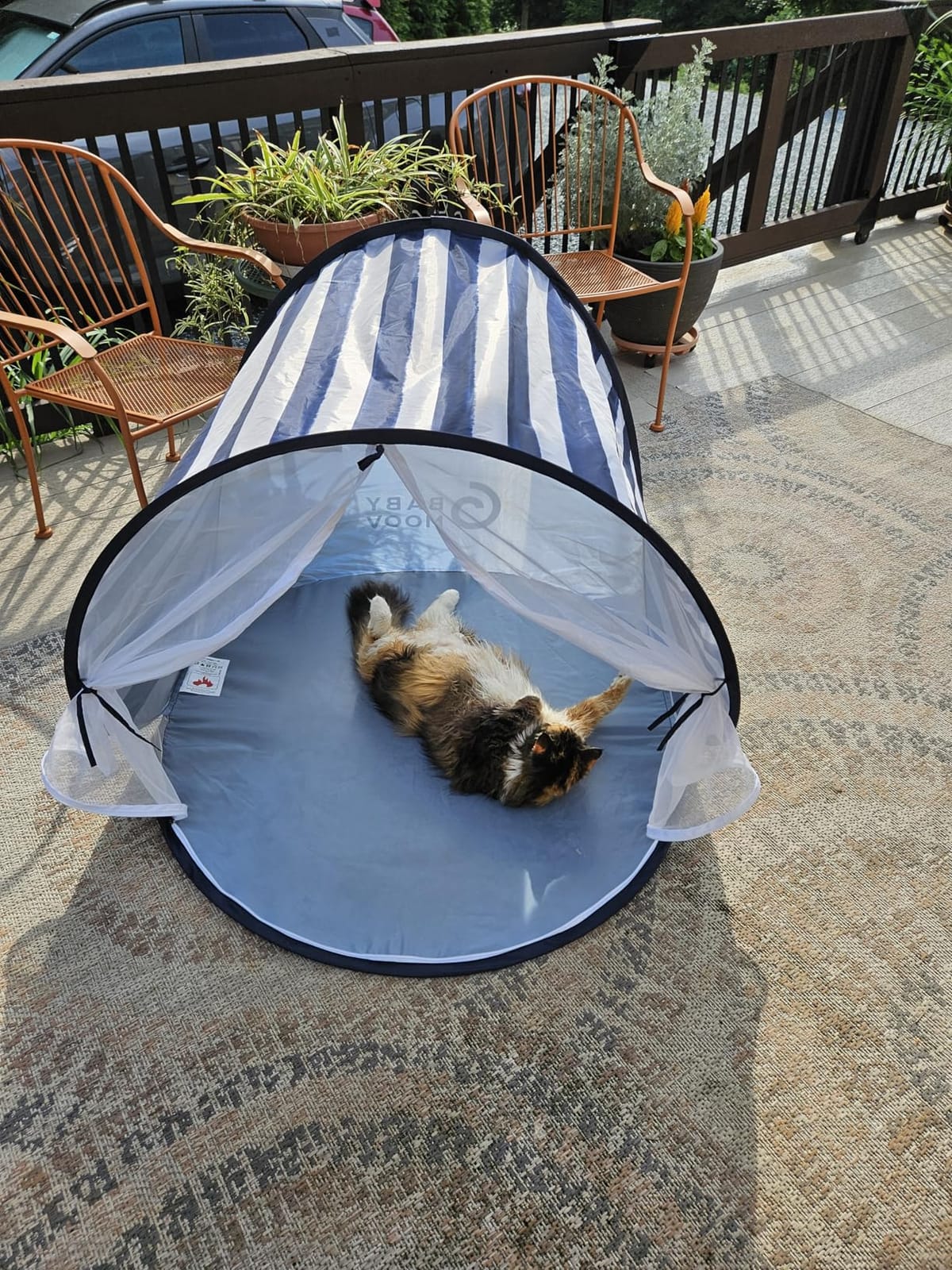 Babymoov Anti-UV Baby & Toddler Beach Tent, UPF 50+ Sun Protection, Marine customer photo 2
