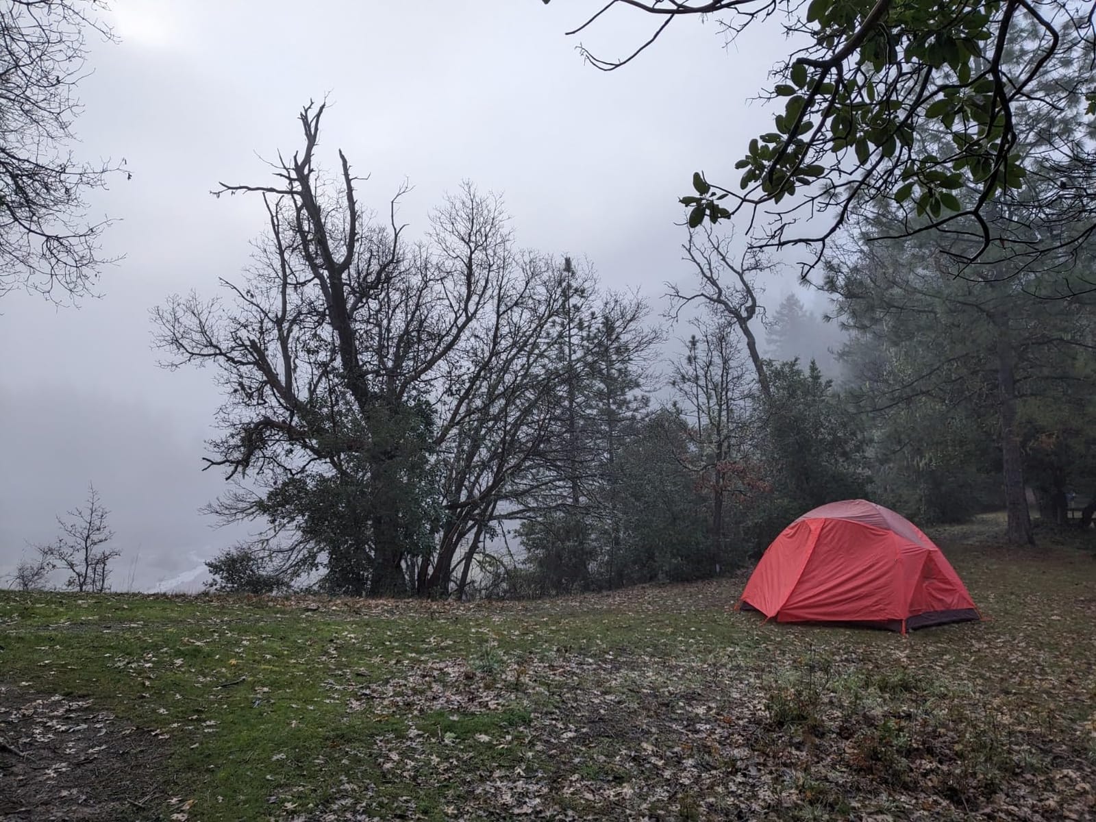 MARMOT Midpines 4P/6P Camping Tents & Footprints customer photo 2