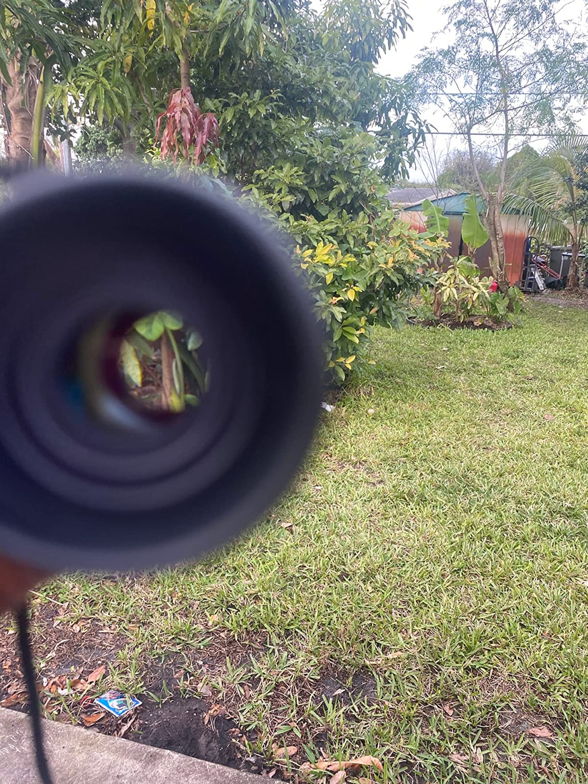 ESSENSON Binoculars for Kids, Blue customer photo 2