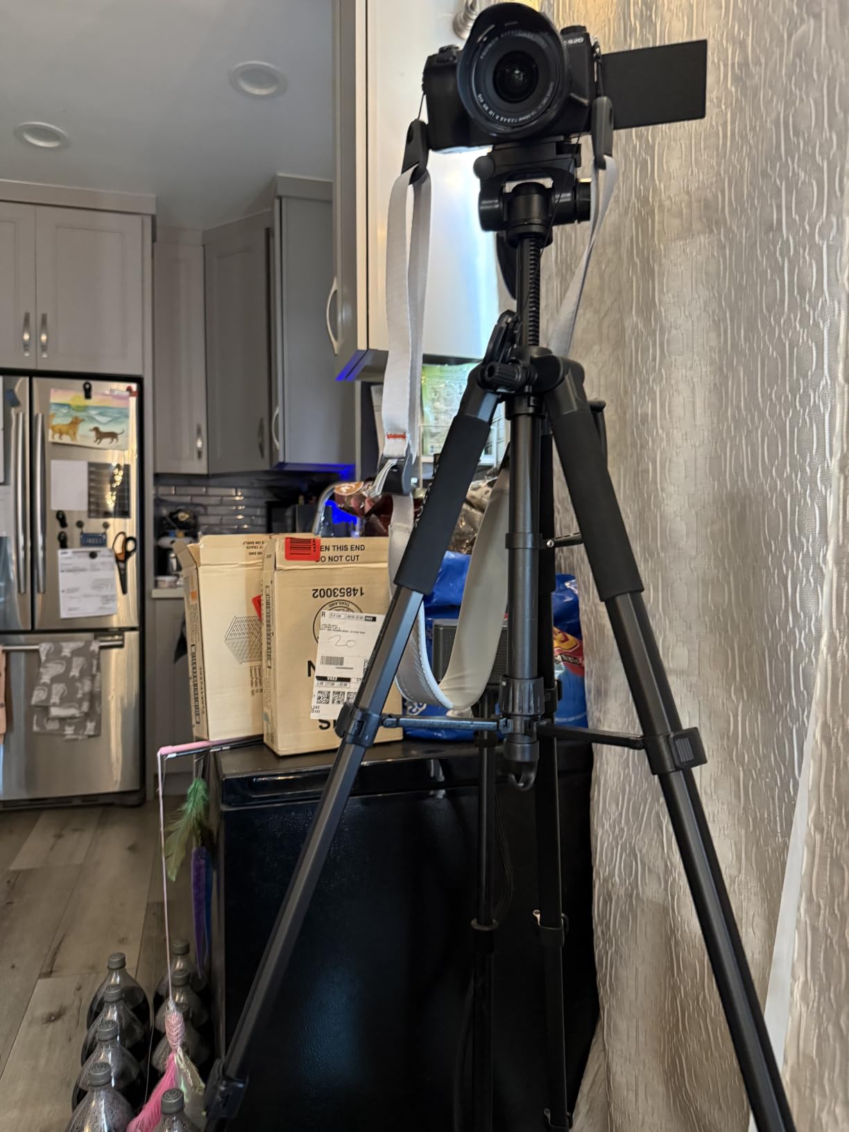 75inch Camera Tripod for ipad iPhone, Heavy Duty Aluminum Tripod with 360° Panoramic Ball Head,Compatible with Canon/Nikon/Sony DSLRs (Load 15 lbs for Travel/Live Streaming/Macro Shooting) customer photo 2