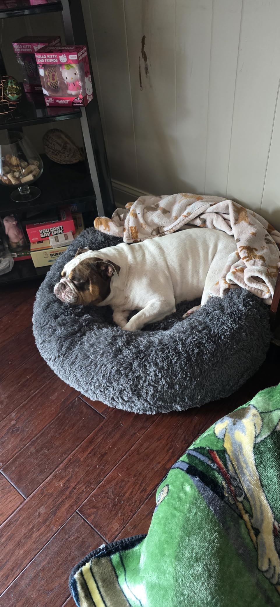 Bedsure Calming XL Dog Bed Donut Washable Extra Large Pet Bed,45ins Camel customer photo 1