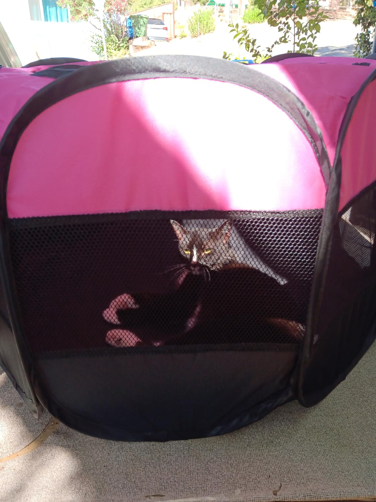 GOOZII Pet Cat Playpen for Indoor Cats Enclosed, Portable Foldable Dog Playpen Outdoor Tent Crate Cage with Zipper Top Cover Door for Kitten Puppy Outside Rv Car Camper (Small Size, Pink) customer photo 1