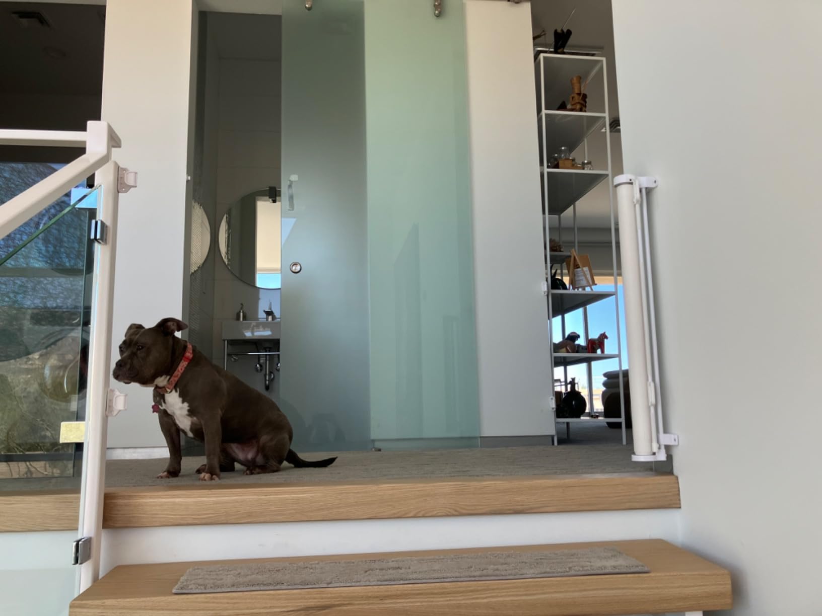 Mom's Choice Awards Winner - 120 Inch Extra Wide Baby Gate for Large Opening Retractable Baby Gate for Doorway Extra Long Puppy Gates for The House Outdoor Large Mesh Pet Gates for Dog Indoor (Black) customer photo 2