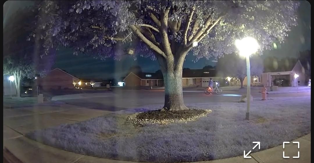 Ring Indoor Cam (newest model) — Home or business security in 1080p HD video, White customer photo 2