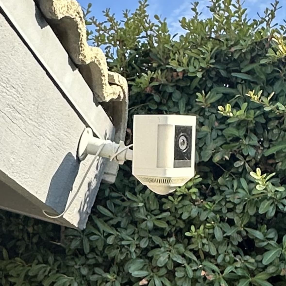 Ring Spotlight Cam Plus, Solar | Two-Way Talk, Color Night Vision, and Security Siren (newest model) - White customer photo 2