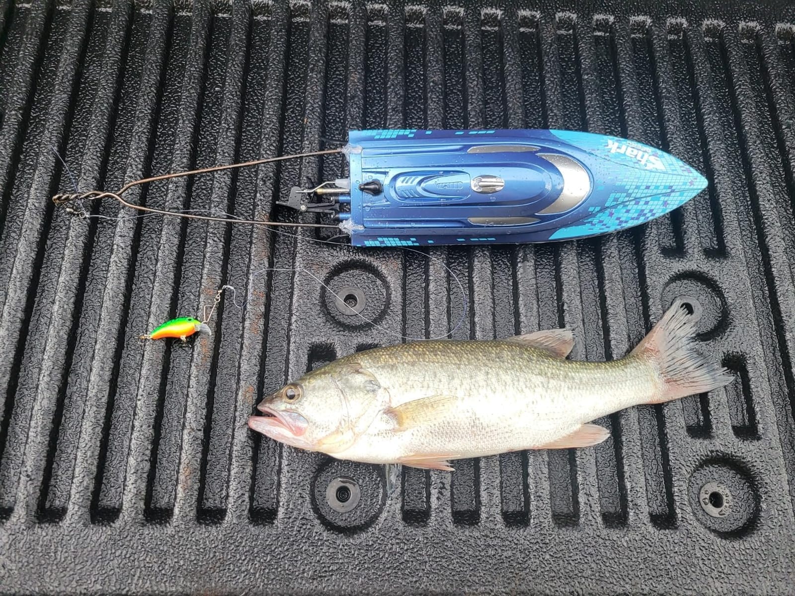 DEERC High-Speed RC Boat, 20+ MPH, Fast Remote Control Shark Racing Boat customer photo 1