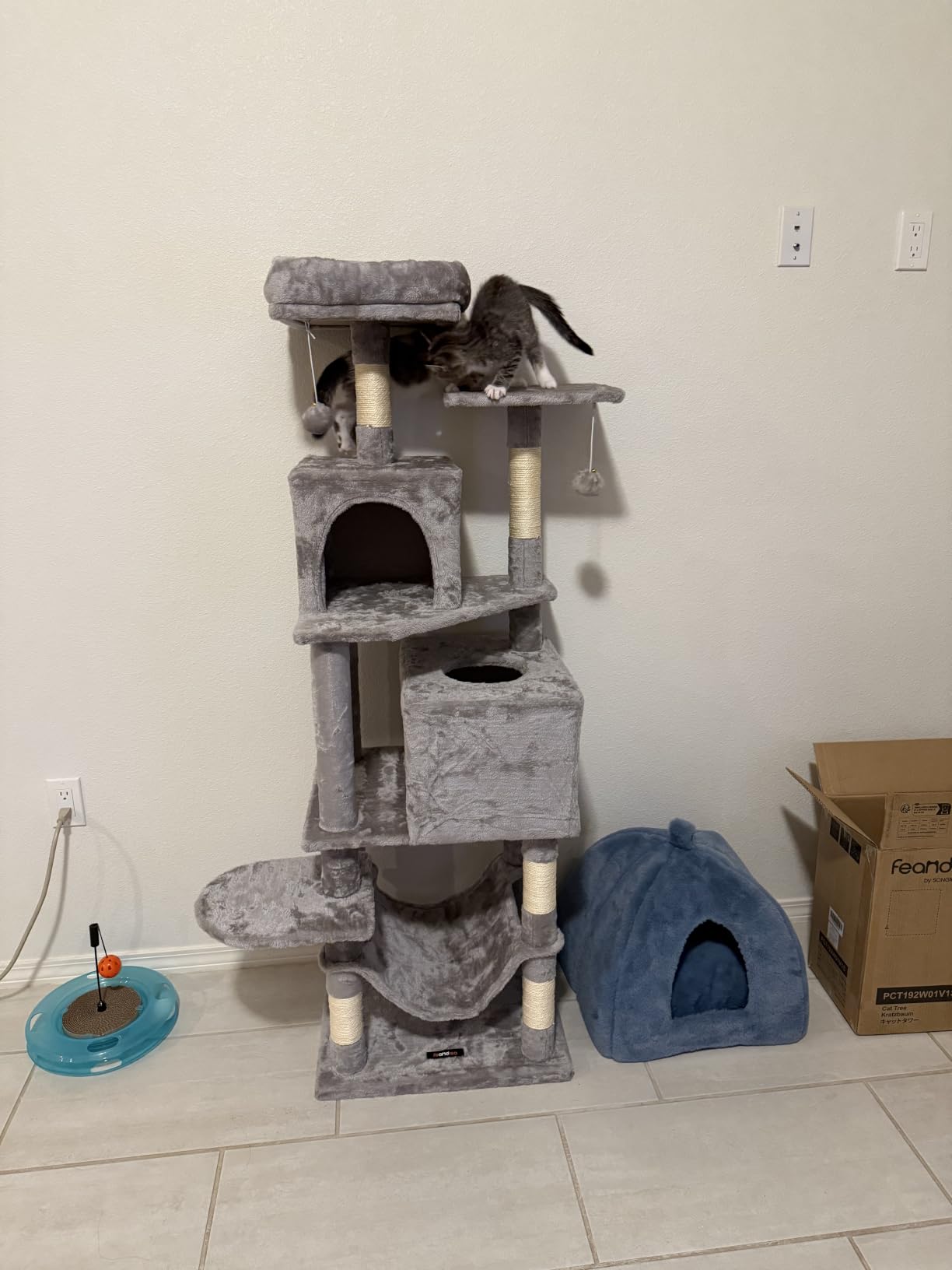 Feandrea Cat Tree, 59.5-Inch Tall Cat Tower, Multi-Level Condo, Light Gray customer photo 1