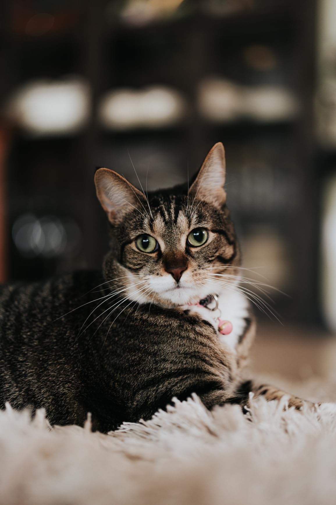 Sony FE 50mm F1.4 GM Lens (Sony E) customer photo 2