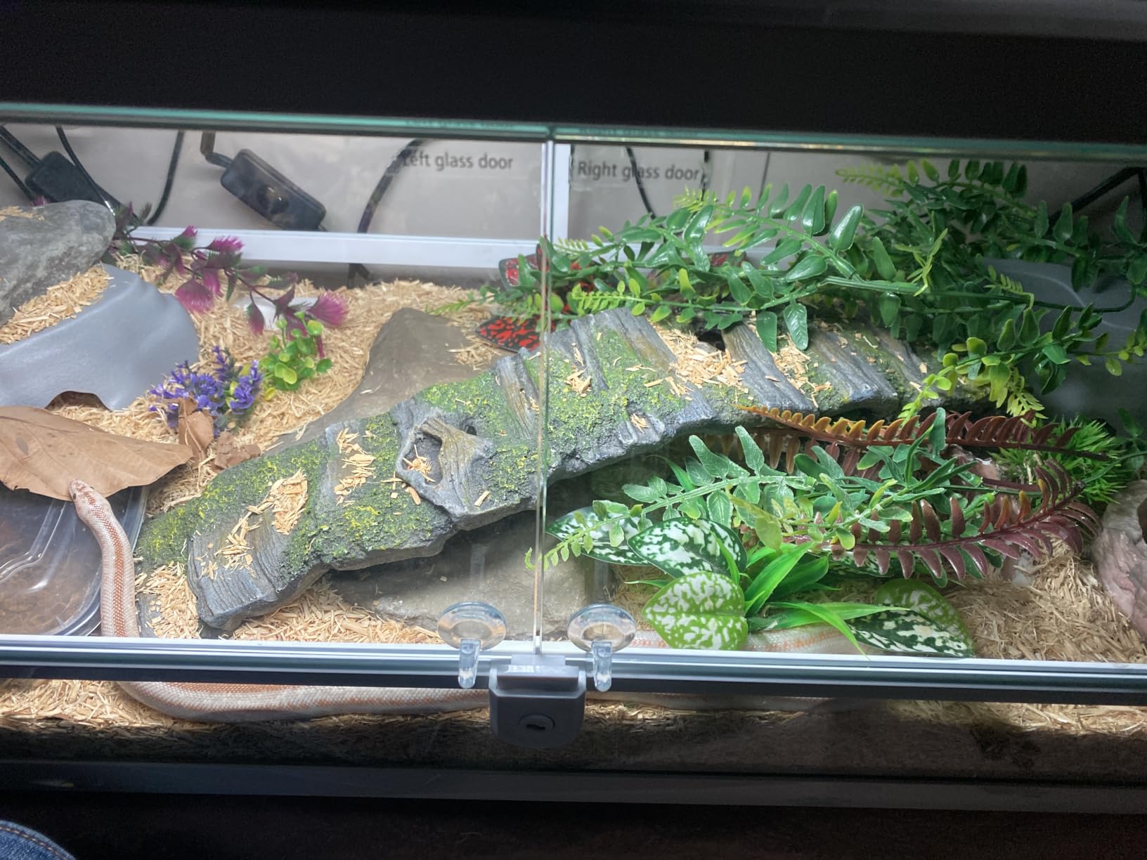 180 Gallon Large Reptile Terrarium, 48