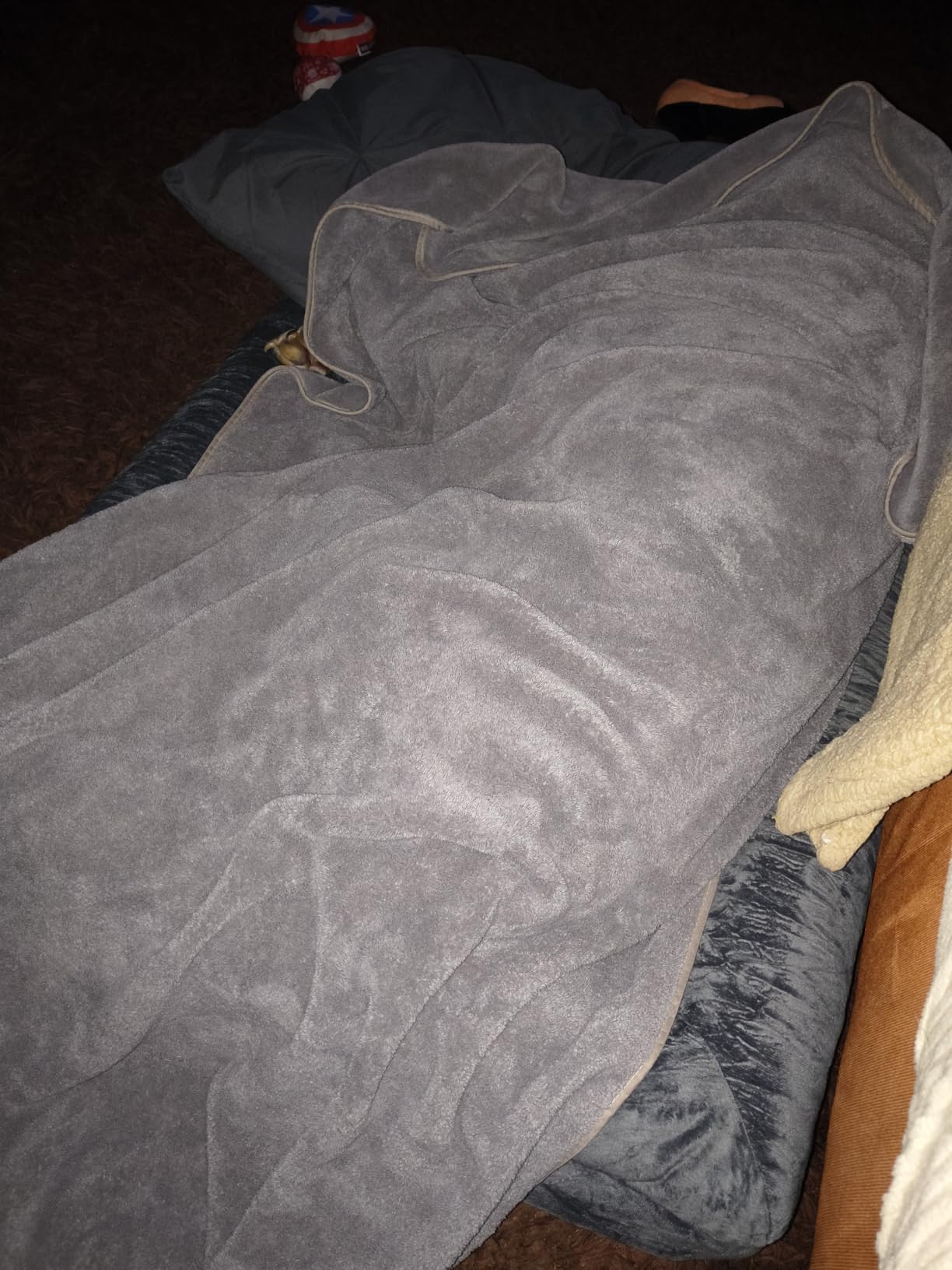 WNPETHOME XXL Extra Large Orthopedic for Senior Dog BedComfy Sleeping customer photo 1