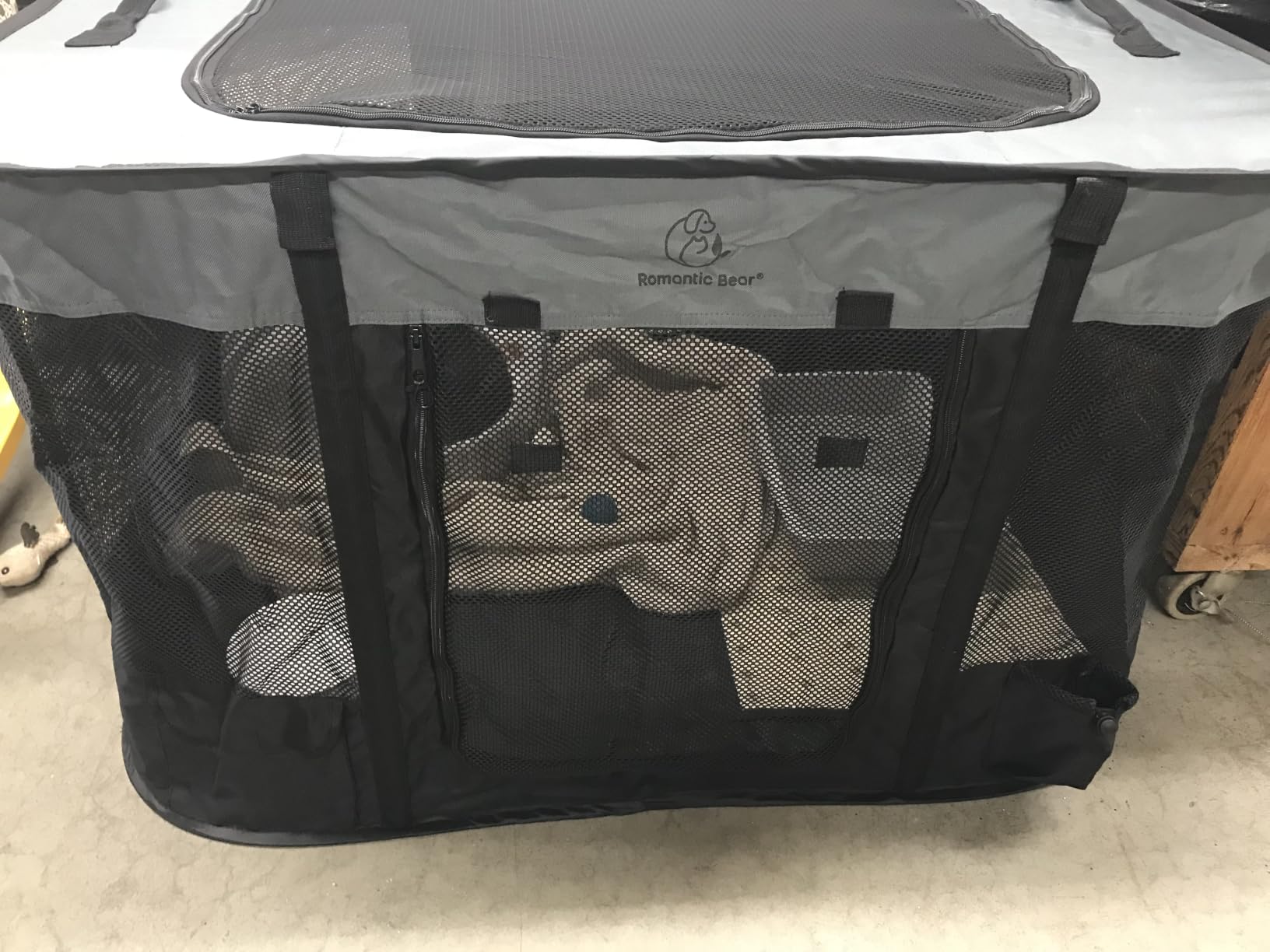 ROMANTIC BEAR Dog Playpen,Foldable Pet Puppy Cat Playpen,M(31
