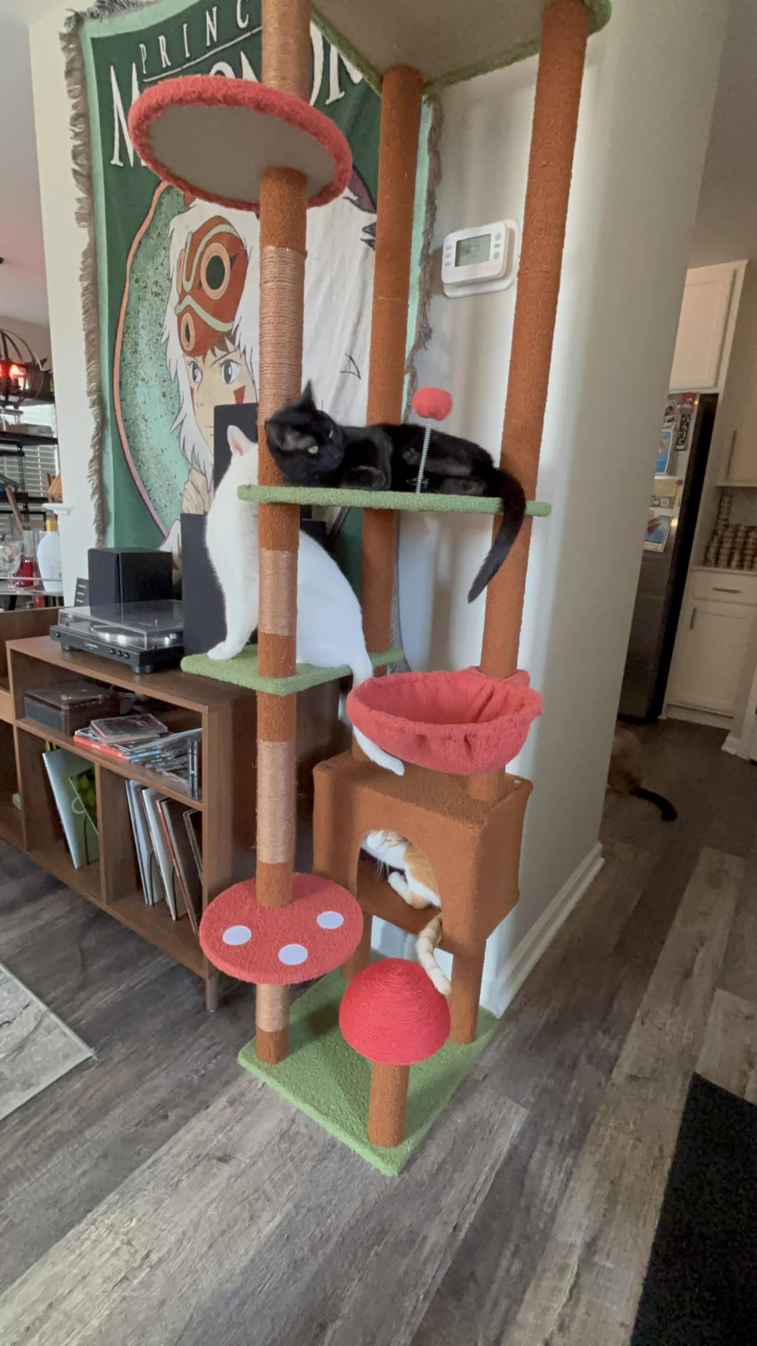 PEQULTI Floor to Ceiling Cat Tree Tower, Height Adjustable 230-252cm, Green customer photo 1
