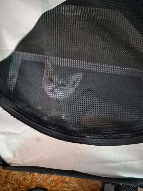 Siedihit Dog Cat Playpen, Puppy Pet Playpen Indoor for Small Dog Crate Tent Cage Outdoor, Portable Pop Up Dogs Enclosure Kennel with Carrying Case for Dogs/Cats/Rabbits(Grey, Small customer photo 2