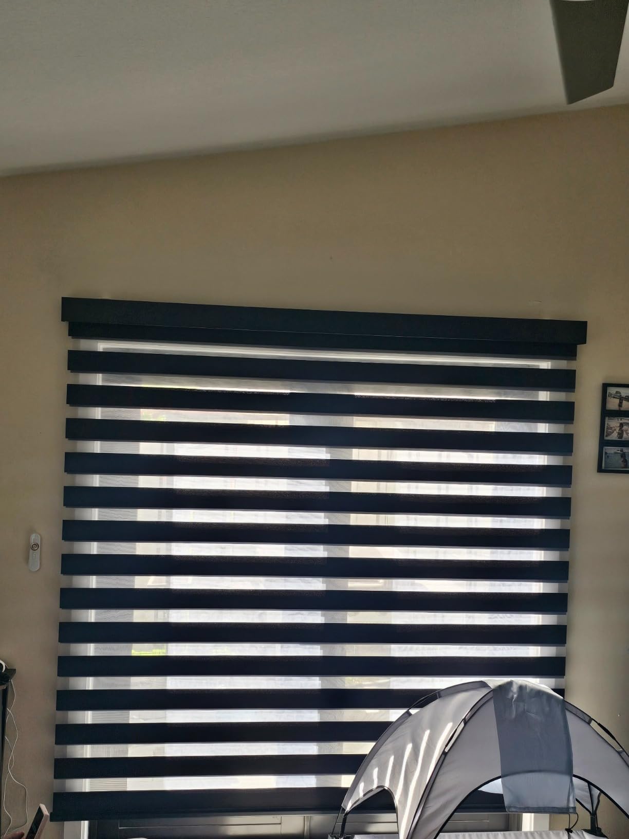 Motorized Zebra Blinds with Remote Smart Blind Work with Homekit Alexa SmartThings Electric Day and Night Shade Cordless Automatic Solar Powered Window Shade Customize(Pure Black) customer photo 2