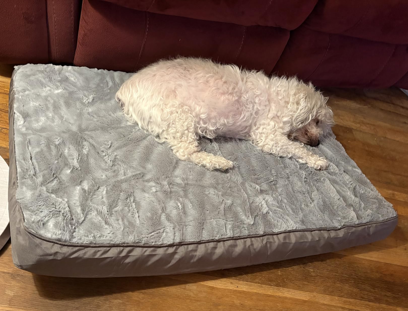 KSIIA Orthopedic Dog Bed for Large Dogs with Waterproof Lining, Grey, 35x22 customer photo 2