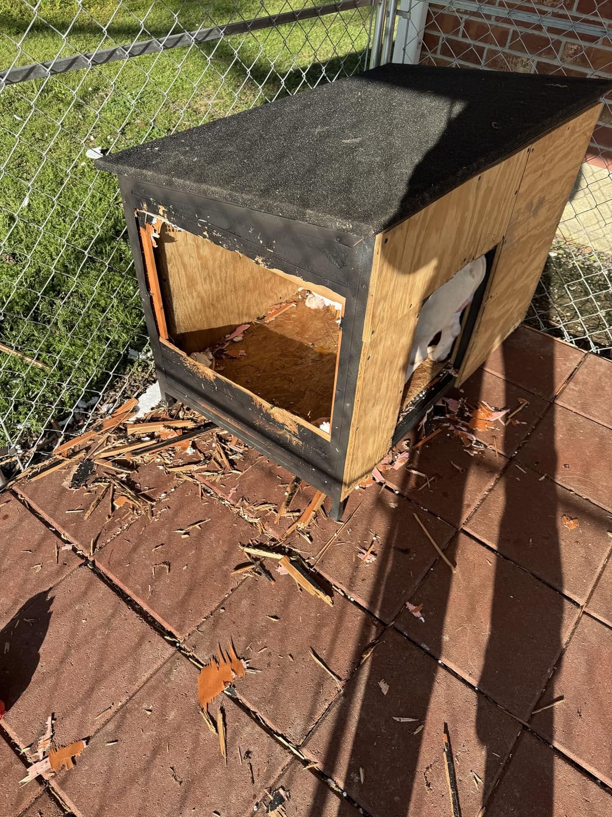Outdoor Insulated Wooden Dog House Weatherproof Chew Resistant Metal Frame customer photo 2