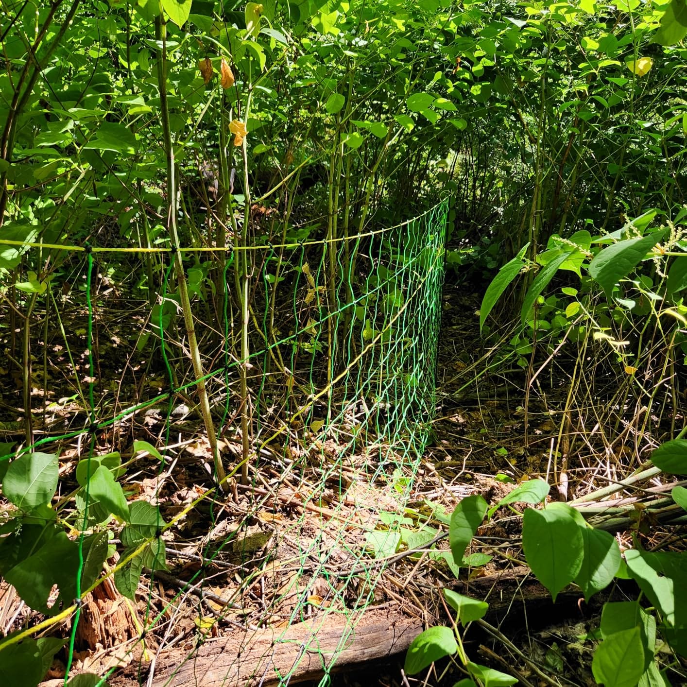 PPOLB Electric Fence Netting - 35.4