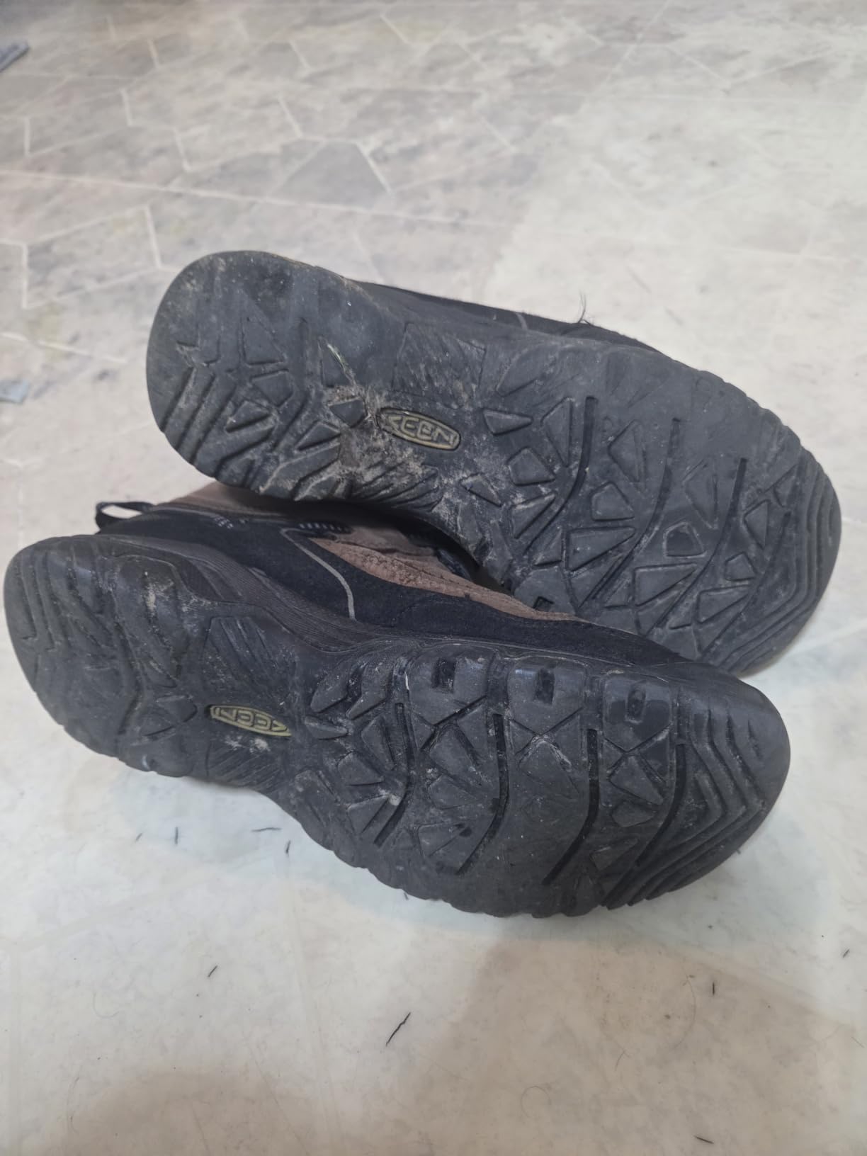 KEEN Men's Targhee 4 Mid Height Waterproof Hiking Boots customer photo 1