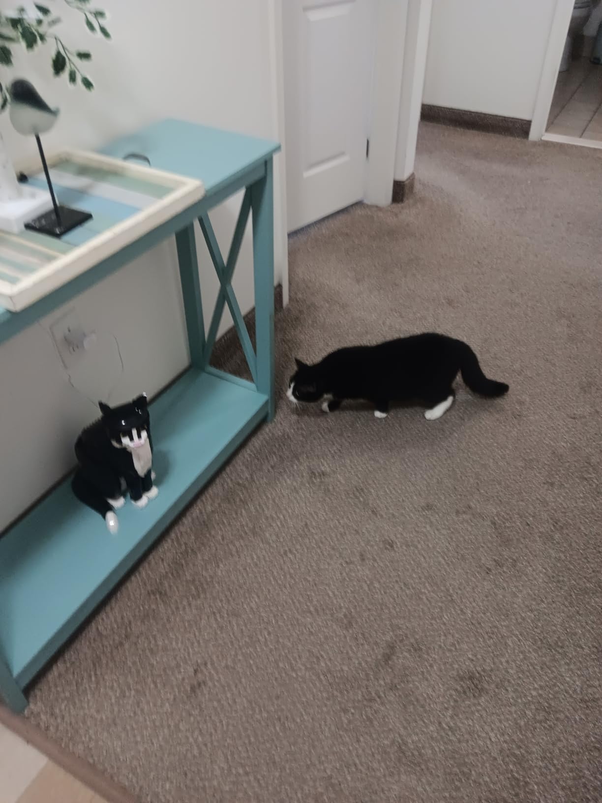 LEGO Ideas Tuxedo Cat - Building Sets for Adults, Ages 18+ - DIY Crafts Kit for Home Decor, Living Room or Bedroom - Gift for Animal Lovers - 21349 customer photo 1