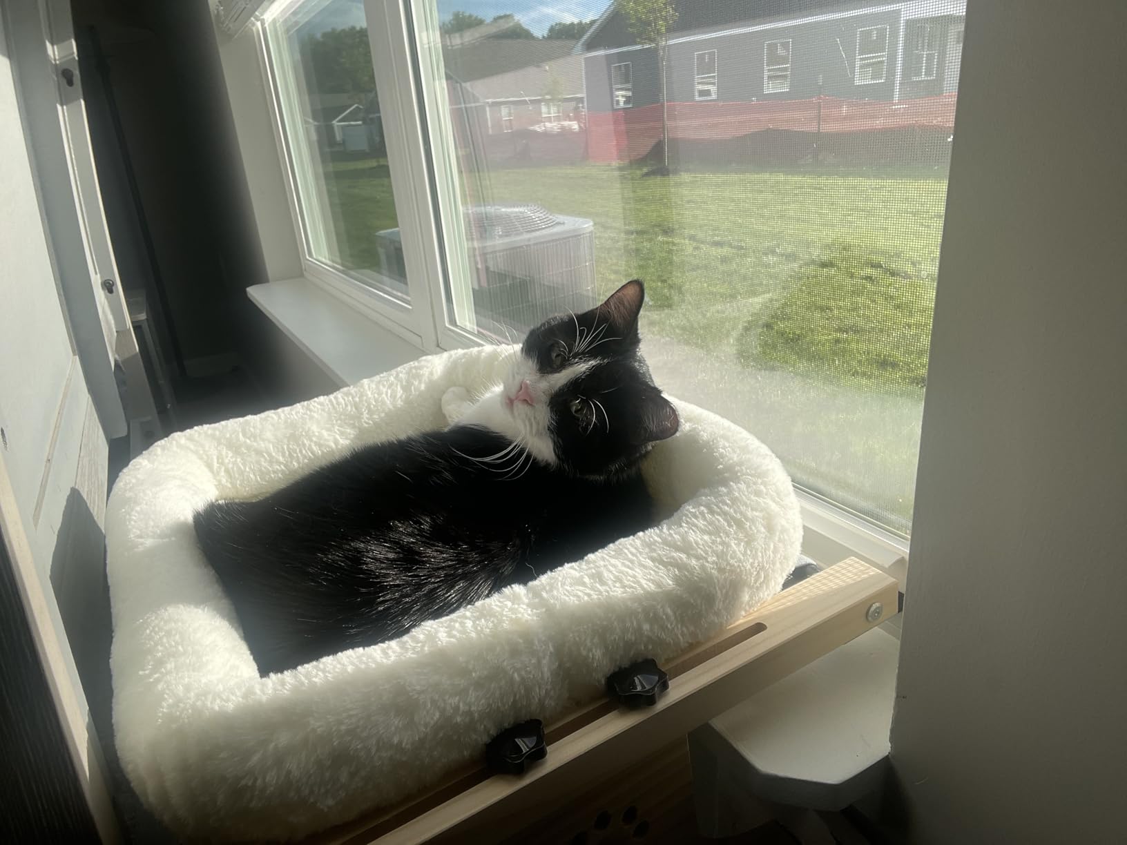 AMOSIJOY Wooden Cat Windowsill Perch with Zipper Cushion Bed, 21.7in customer photo 1