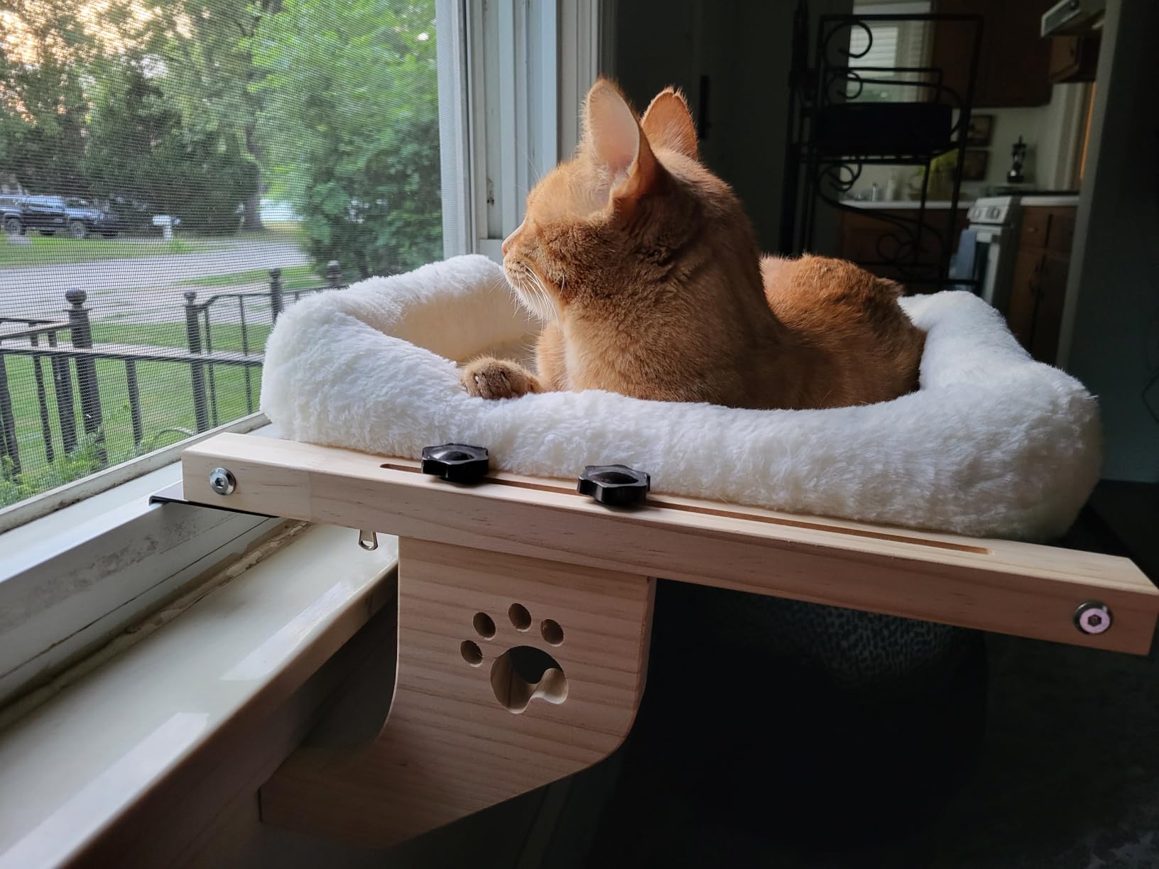 AMOSIJOY Wooden Cat Windowsill Perch with Zipper Cushion Bed, 21.7in customer photo 2