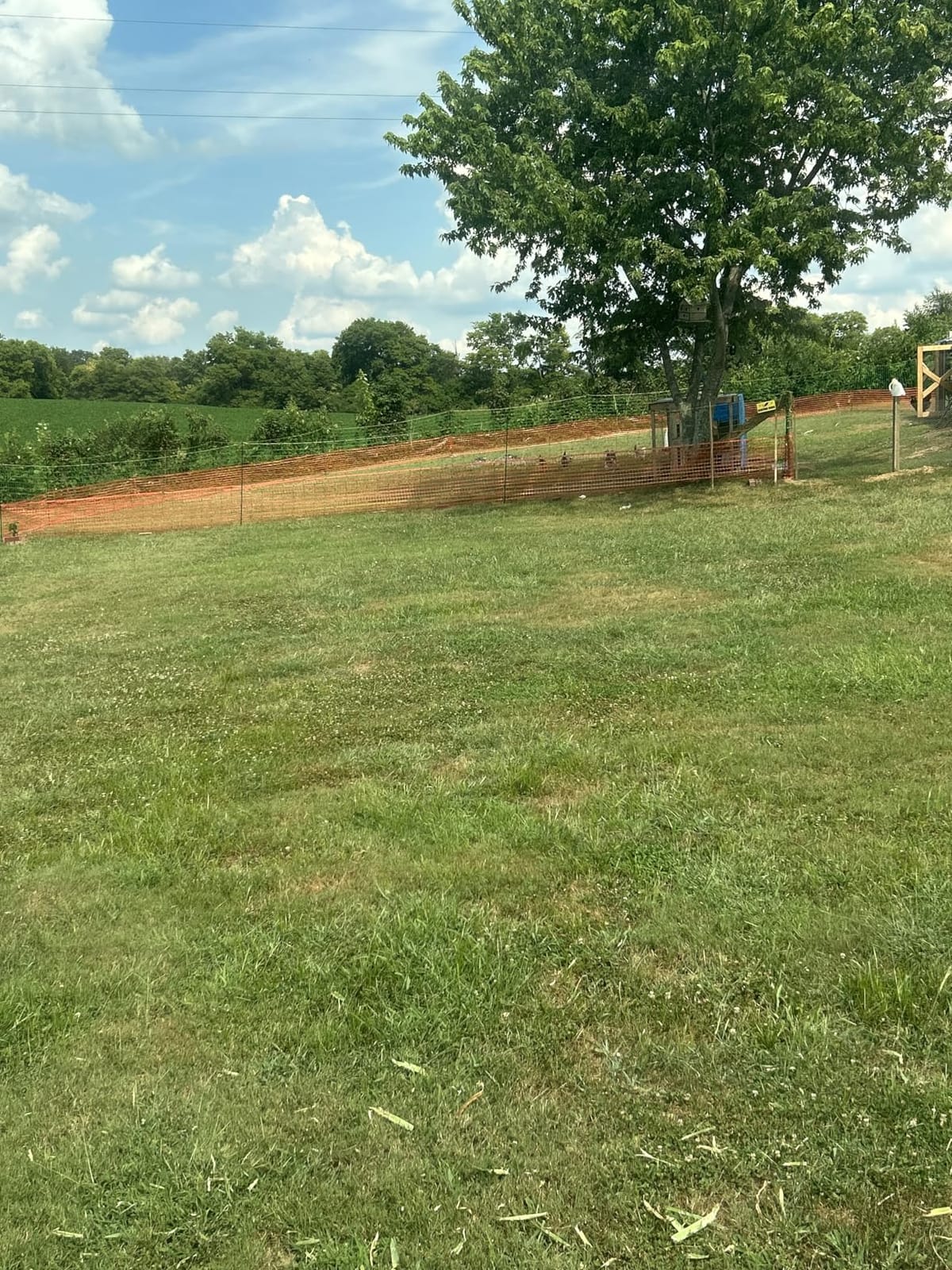 Electric Fence Netting,Livestock Neting,49.6