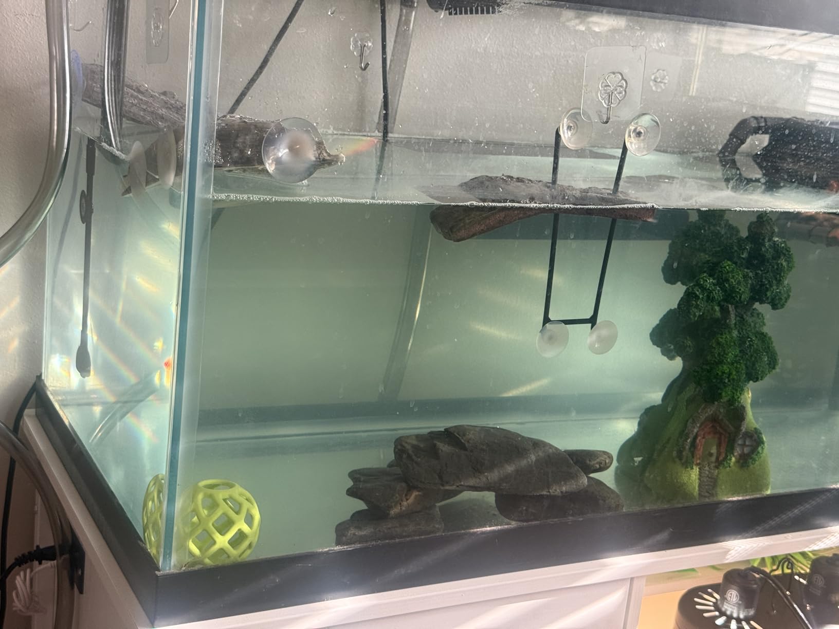 PONDFORSE Canister Filter, External Aquarium Filter Ultra-Quiet with Media customer photo 2