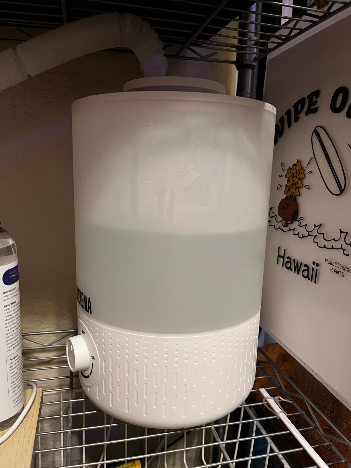 No Leak Reptile Fogger Humidifiers Mister for Reptile Tank, 3L Top-Fill Terrarium Humidifier with Hose - Ideal for Snakes, Tortoises, Chameleons, Ball Python and Hermit Crabs (Single/Dual Fog Output) customer photo 2