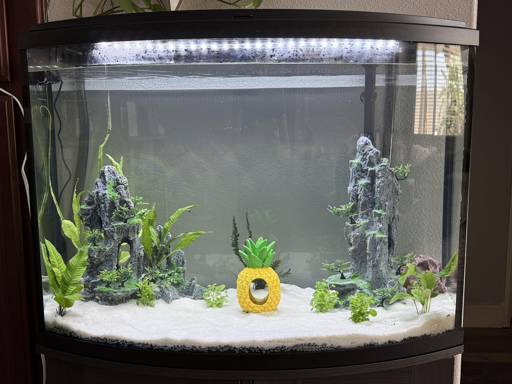 AMOSIJOY Ultra-Quiet Canister Filter for Large Fish Tanks and Aquariums customer photo 2