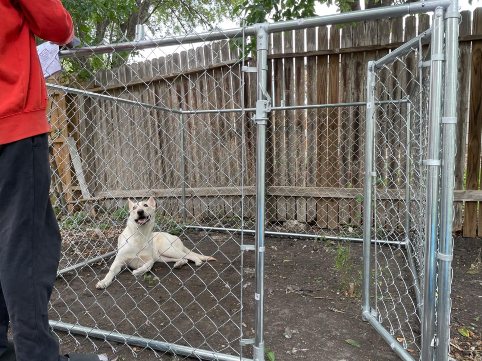 HITTITE Extra Large Outdoor Dog Kennel, 10x10x6.56ft Anti-Rust Dog Kennel Outside with Roof, Galvanized Chain Link Dog Runs for Outside with Secure Lock customer photo 2