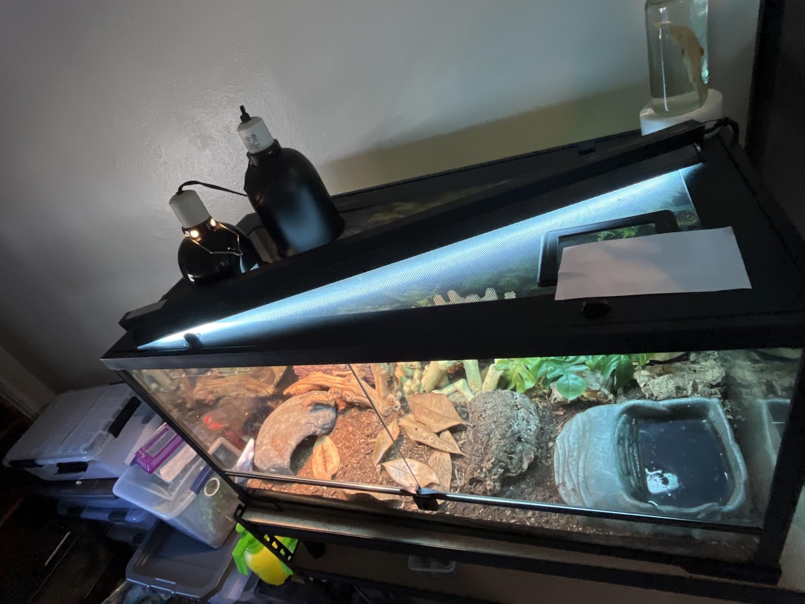 T5 UVB Reptile Light Fixture HO UVB Bulb Lighting Combo Kit, 10.0 UVB Light for Reptiles Terrarium Hood with 8W Reptile Light Bar UVA UVB Desert Lamp for Bearded Dragon Turtle Tank, 12 Inch customer photo 2