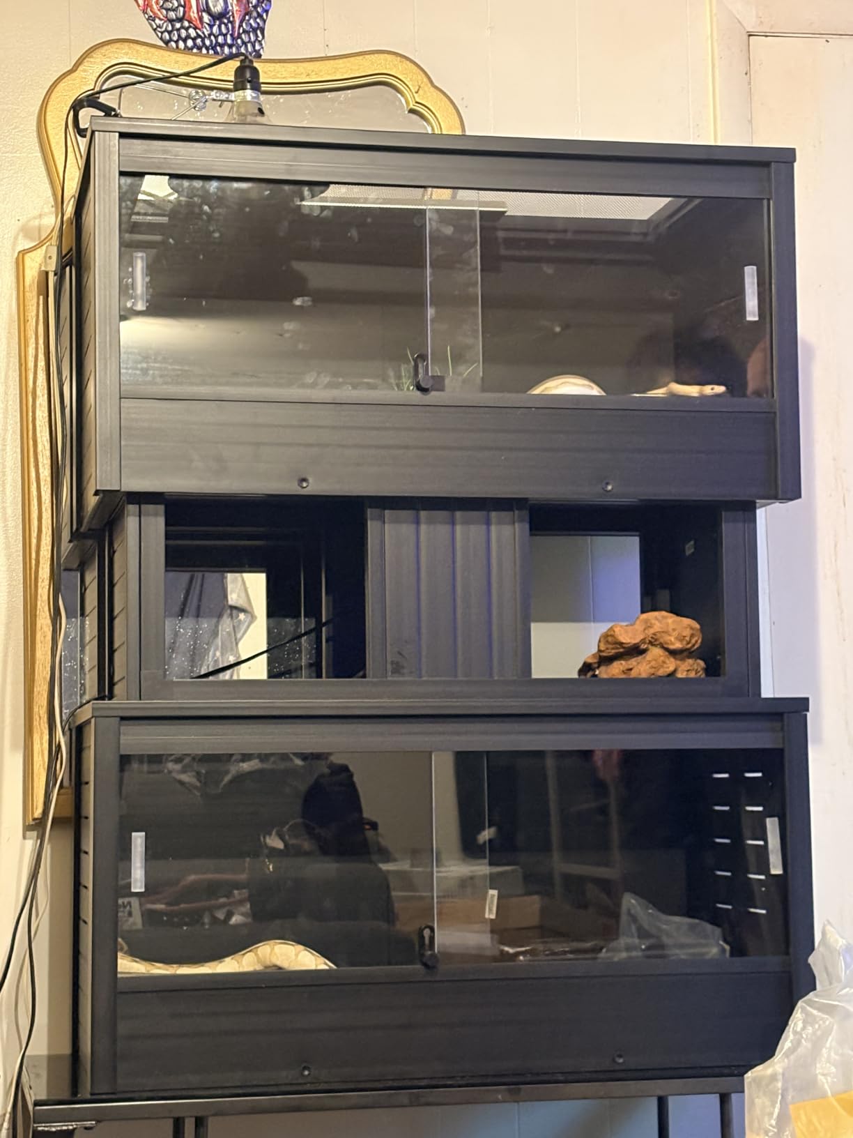New Age Pet ECOFLEX Two Large Reptile Enclosures with Matching Stacker Combo Set in Maple customer photo 1