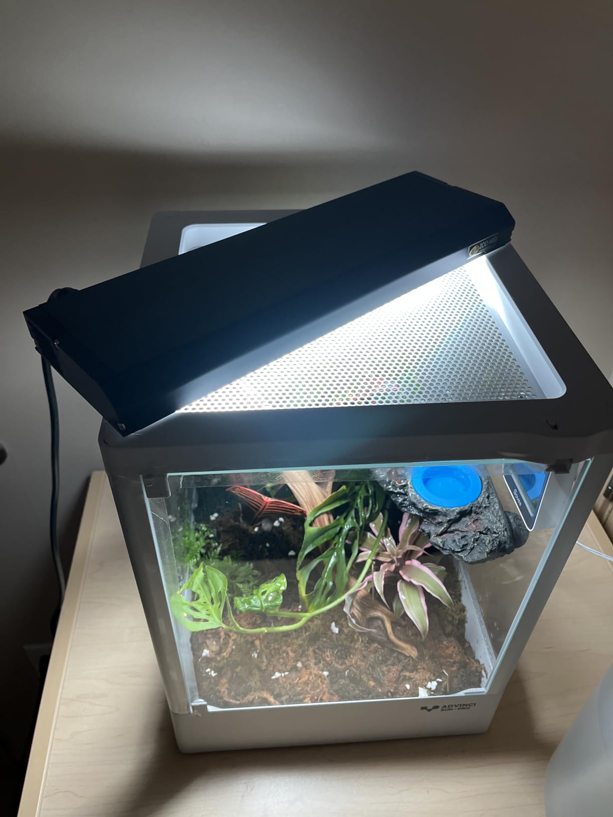 Reptile Terrarium 12