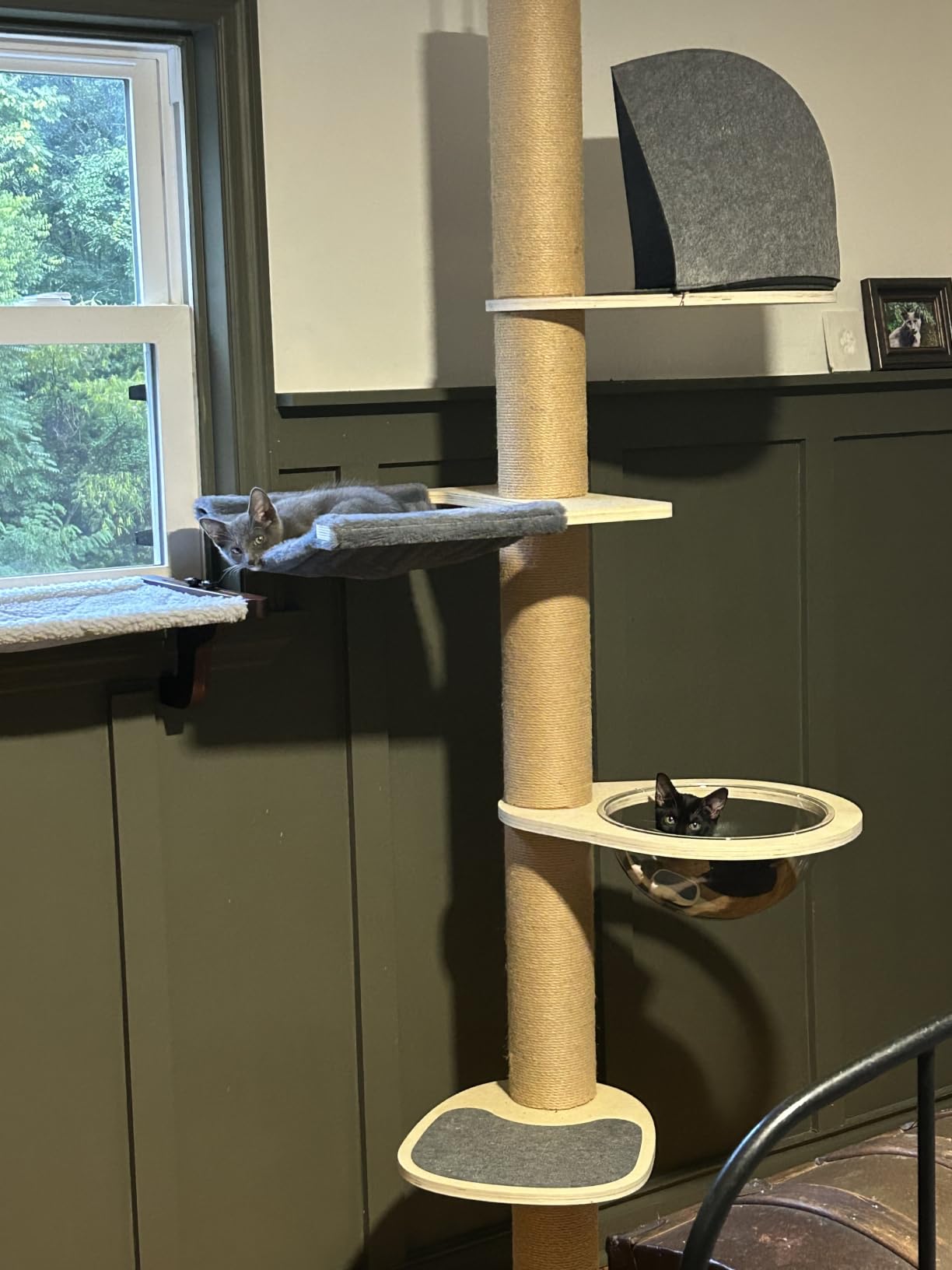 FUKUMARU Floor to Ceiling Cat Tree, 6-10 ft, 6 Level, Beige customer photo 2