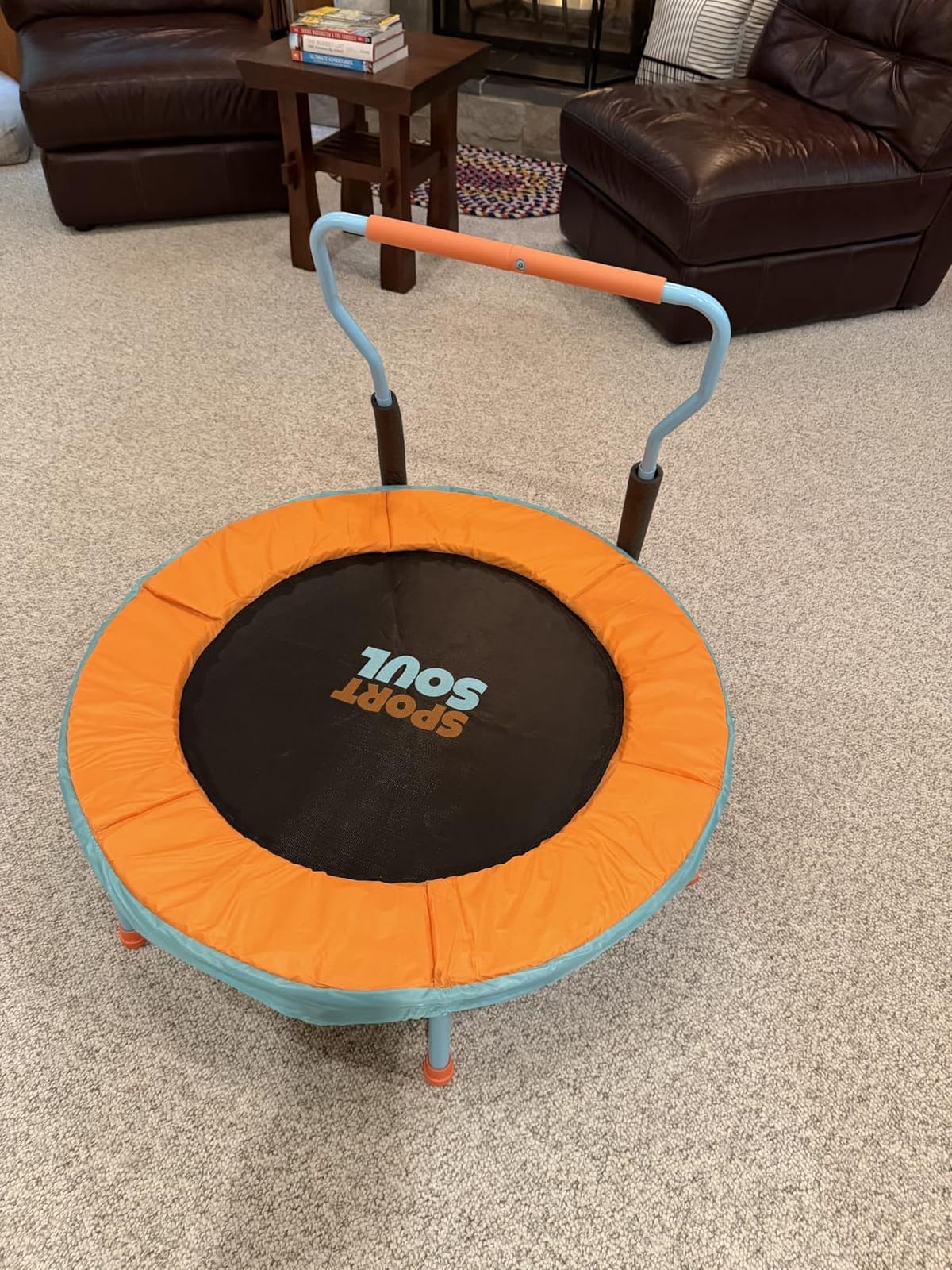 SPORTSOUL Mini Trampoline for Kids 3-6 with Super Safe Foam Handle Bar customer photo 1