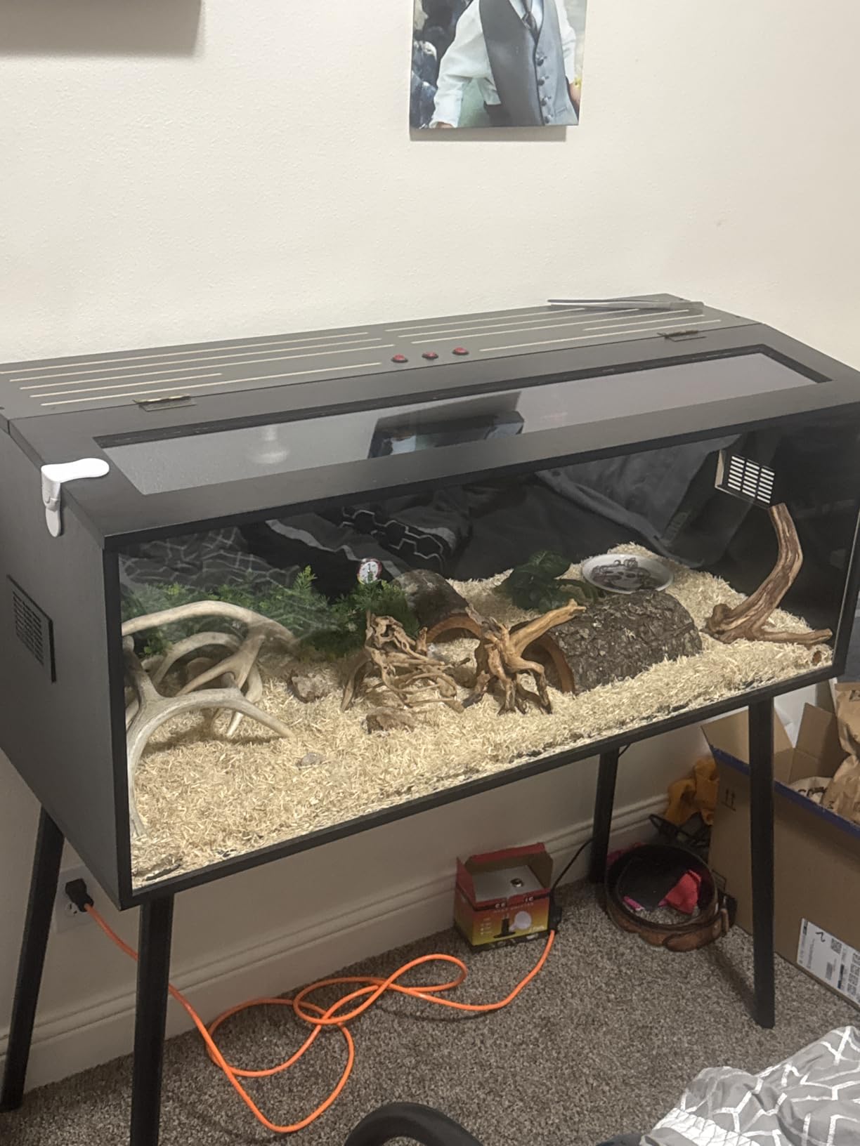 Prolee 63 Gallon Reptile Tank, Tempered Glass Bearded Dragon Tank with Wooden Roof and Lockable Doors, Large Lizard Habitat with Built-in Lamp Fixture for Snakes, Iguanas, Chameleons (Black) customer photo 1
