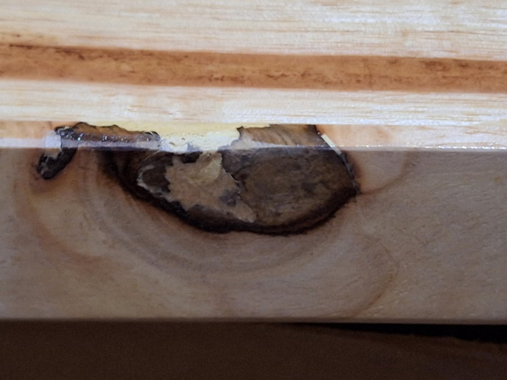 ENJOYWOOD 60