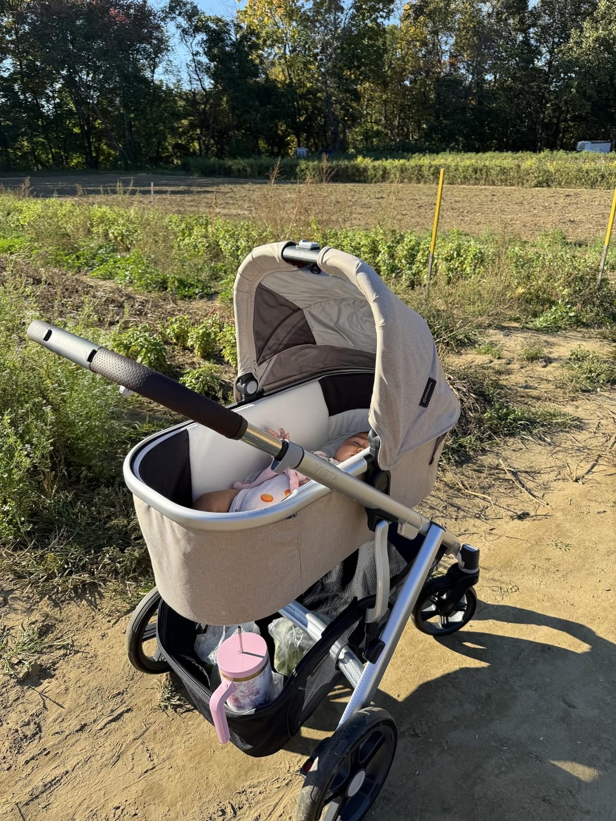 UPPAbaby Vista V3 Convertible Single-to-Double Stroller - Owen customer photo 1