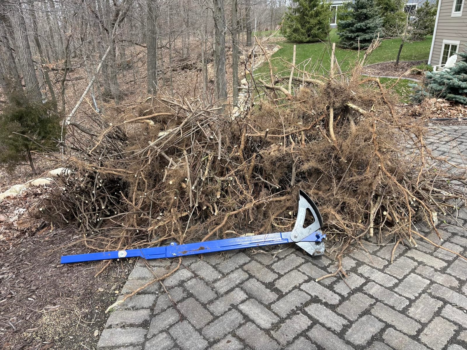 Heavy Duty Sapling Puller Tool, Foldable Tree Puller for 1/4-2 in Stems customer photo 1